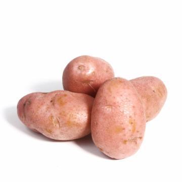 BATATA ASTERIX KG
