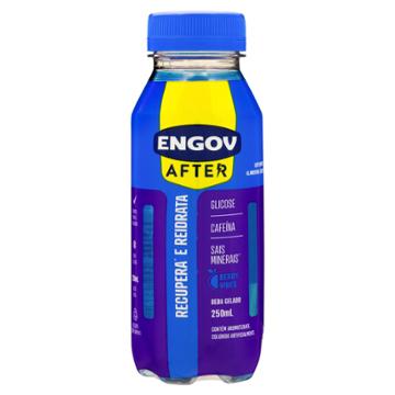 BEBIDA FUNCIONAL ENGOV AFTER BERRY VIBES 250ML 