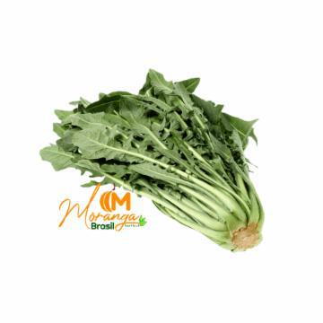 CATALONHA MORANGA UND