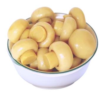 COGUMELO INTEIRO KG
