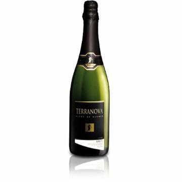 ESPUMANTE TERRANOVA BRUT 750ML