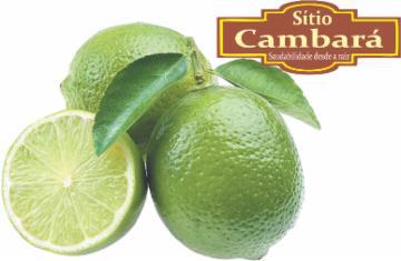 LIMAO TAHITI SITIO CAMBARA ORGANICO 500G