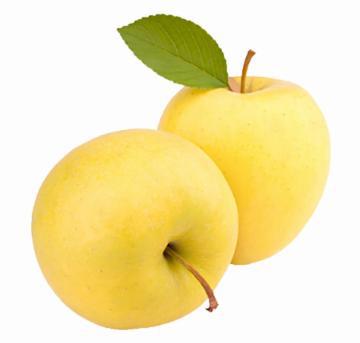 MACA YALLO KG 