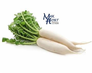 NABO MAK HORT UND