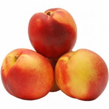 NECTARINA KG