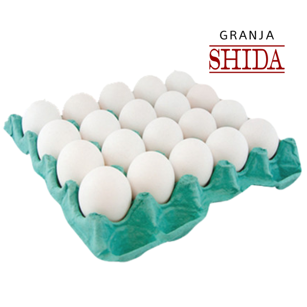 OVOS SHIDA GRANDE BCO C/20