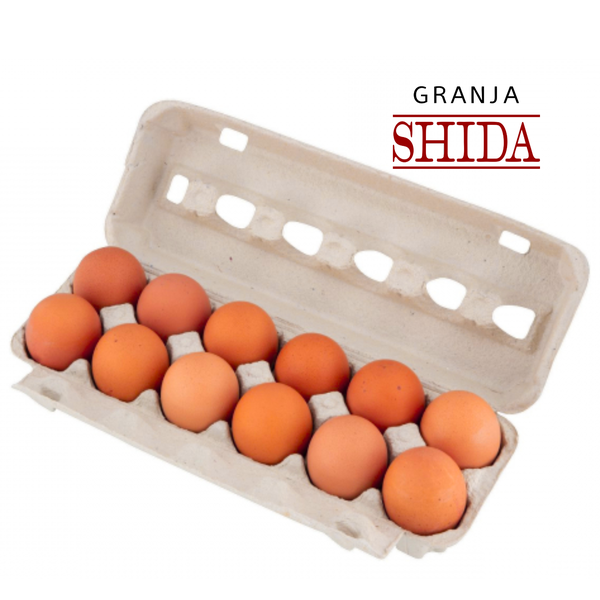 OVOS SHIDA VERMELHO C/12 