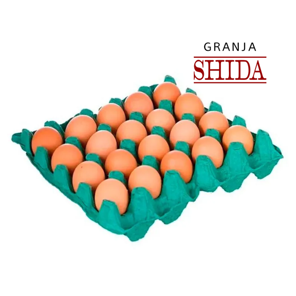 OVOS SHIDA VERMELHO C/20 EXTRA