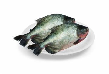 PACU FRESCO INTEIRO KG