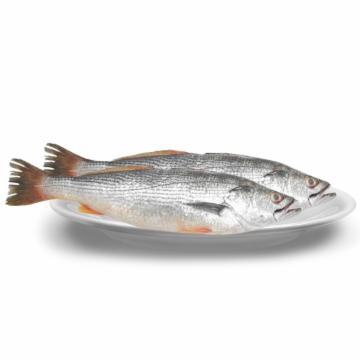 PESCADA FRESCA DO SUL INTEIRA KG