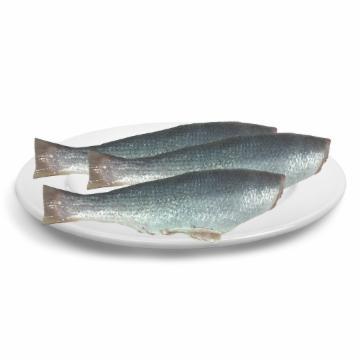 PESCADA MARIA MOLE LIMPA S/CAB KG