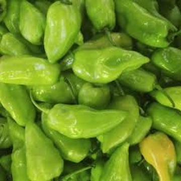PIMENTA CHEIRO KG