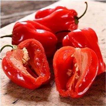 PIMENTA HABANERO KG