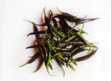 PIMENTA MALAGUETA CHOCOLATE KG