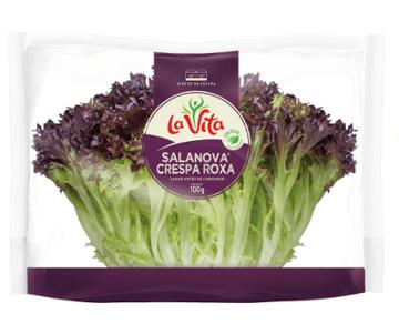 SALANOVA MINI CRESPA ROXA LA VITA 100G 