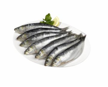 SARDINHA INTEIRA KG