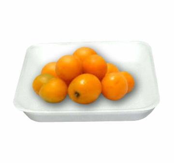 SERIGUELA BANDEJA UND