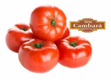 TOMATE CAQUI SITIO CAMBARA ORG 500G