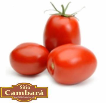 TOMATE ITALIANO SITIO CAMBARA ORG 500G