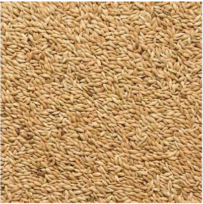 ALPISTE ASANUTRE 400 GR