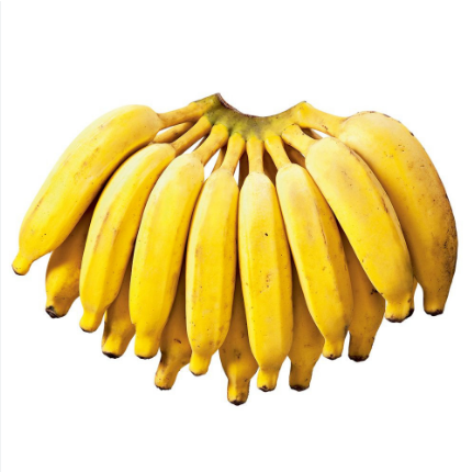 BANANA PRATA KG