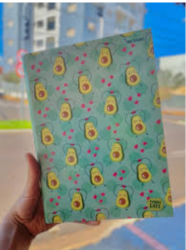 CADERNO STARSCHOL CAPA DURA COSTURADO 1/4 80 FOLHAS ABACATE