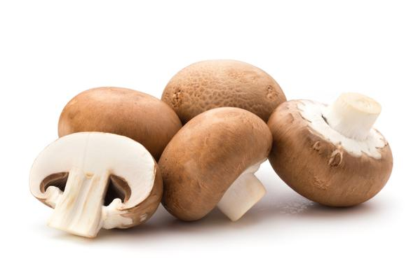 COGUMELO GRAEMBUENSE PORTOBELO 500G