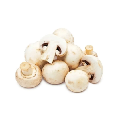COGUMELO PARIS BENASSI 200G