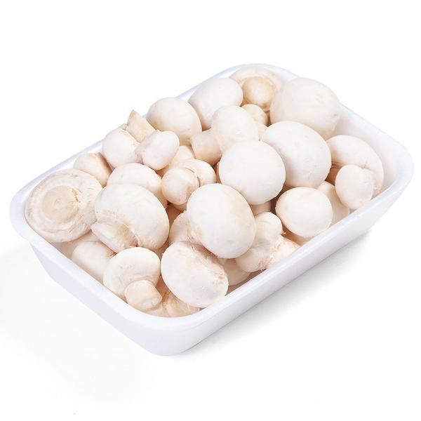 COGUMELO PARIS GRAEMBUENSE 250G