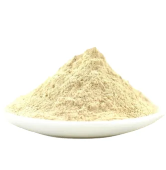 CREME DE CEBOLA ARMAZEM SABORES DO MUNDO KG