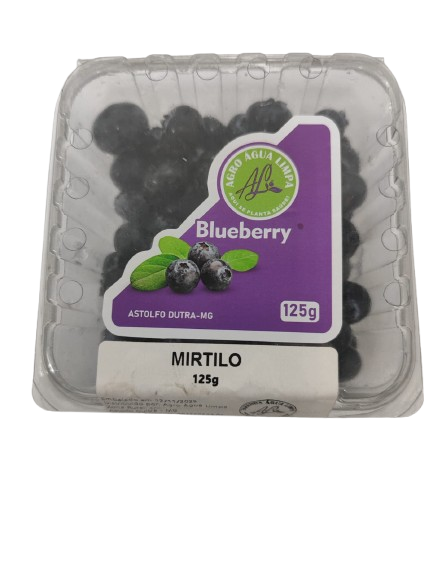 MIRTILO AGRO AGUA LIMPA (BLUEBERRY) 125G