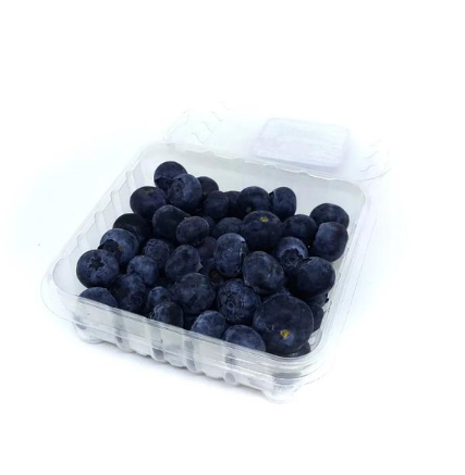MIRTILO (BLUEBERRY) DANNI 125G