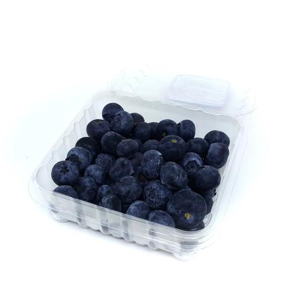 MIRTILO (BLUEBERRY)  SUNNY BERRY 125G