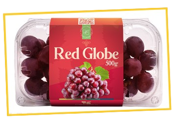 UVA RED GLOBE CUMBUCA 500G