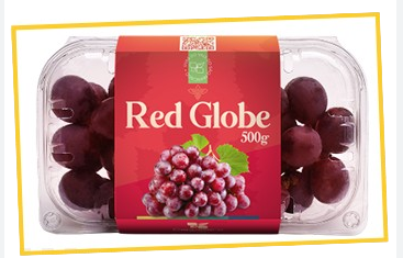 UVA RED GLOBE KG