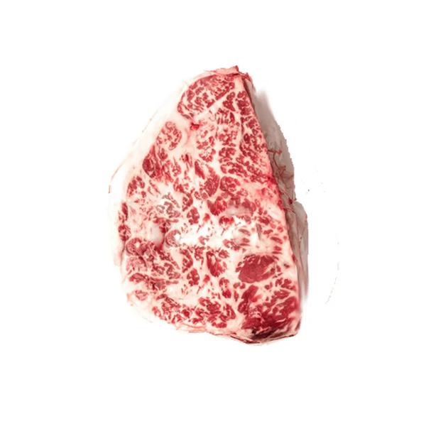 CUPIM MATURATTA kG