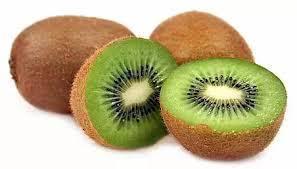 KIWI KG
