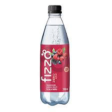 SODA FIZZO MORANGO E KIWI 355ML