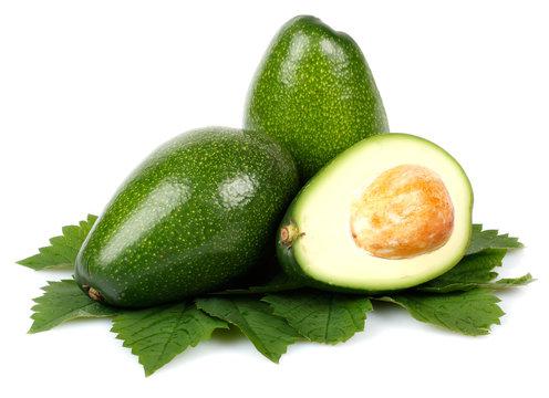 AVOCATO KG