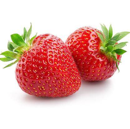 FRUTA CONGELADA 1kg MORANGO