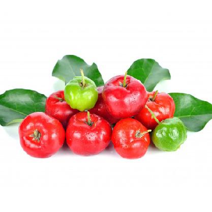 FRUTA CONGELADA EM FRUTA 1kg ACEROLA