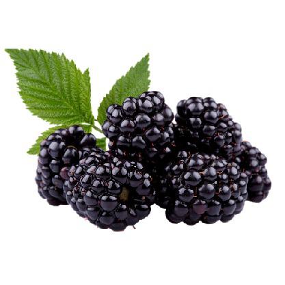 FRUTA CONGELADA MG FRUTAS 1kg AMORA