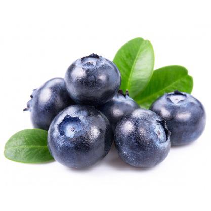 FRUTA CONGELADA MG FRUTAS 1kg MIRTILO