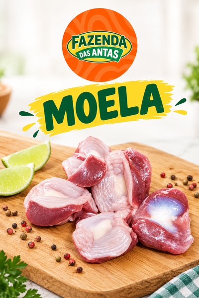 MOELA FAZENDA ANTAS kg