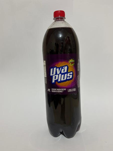 REFRIGERANTE ATIV PLUS 2lt UVA