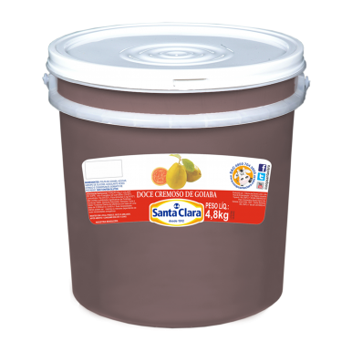 DOCE FRUT. SANTA CLARA FIGO 400GR