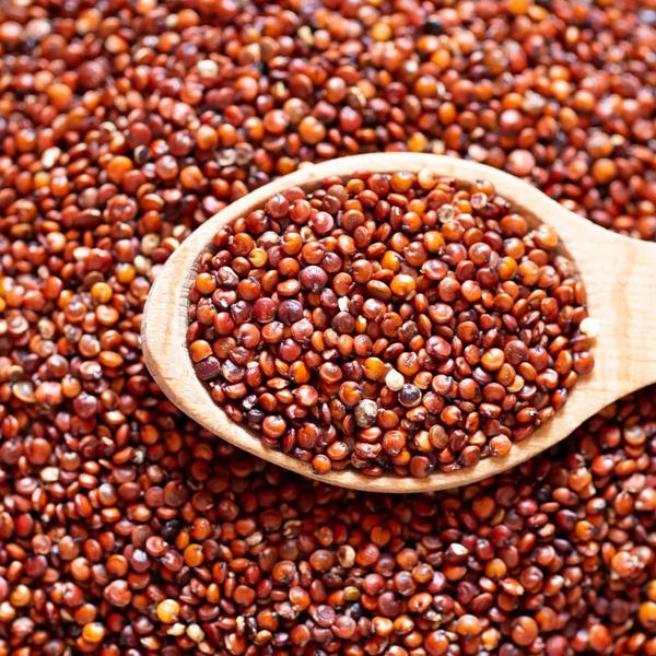 QUINOA VERMELHA GRAO KG