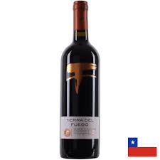 VINHO TIERRA DEL FUEGO CABERN 750ML