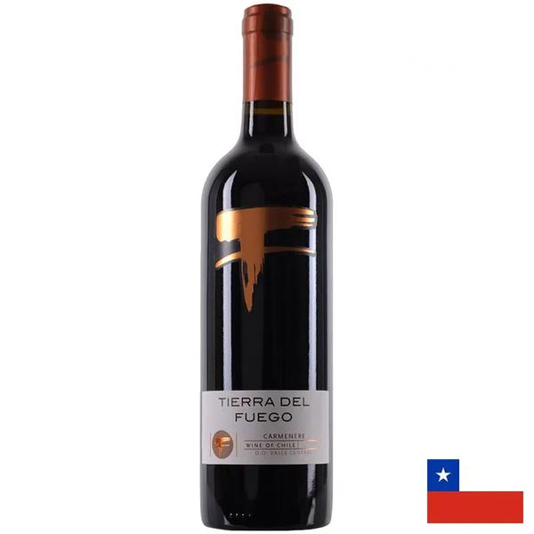 VINHO TIERRA FUEGO CARMENE 750ML