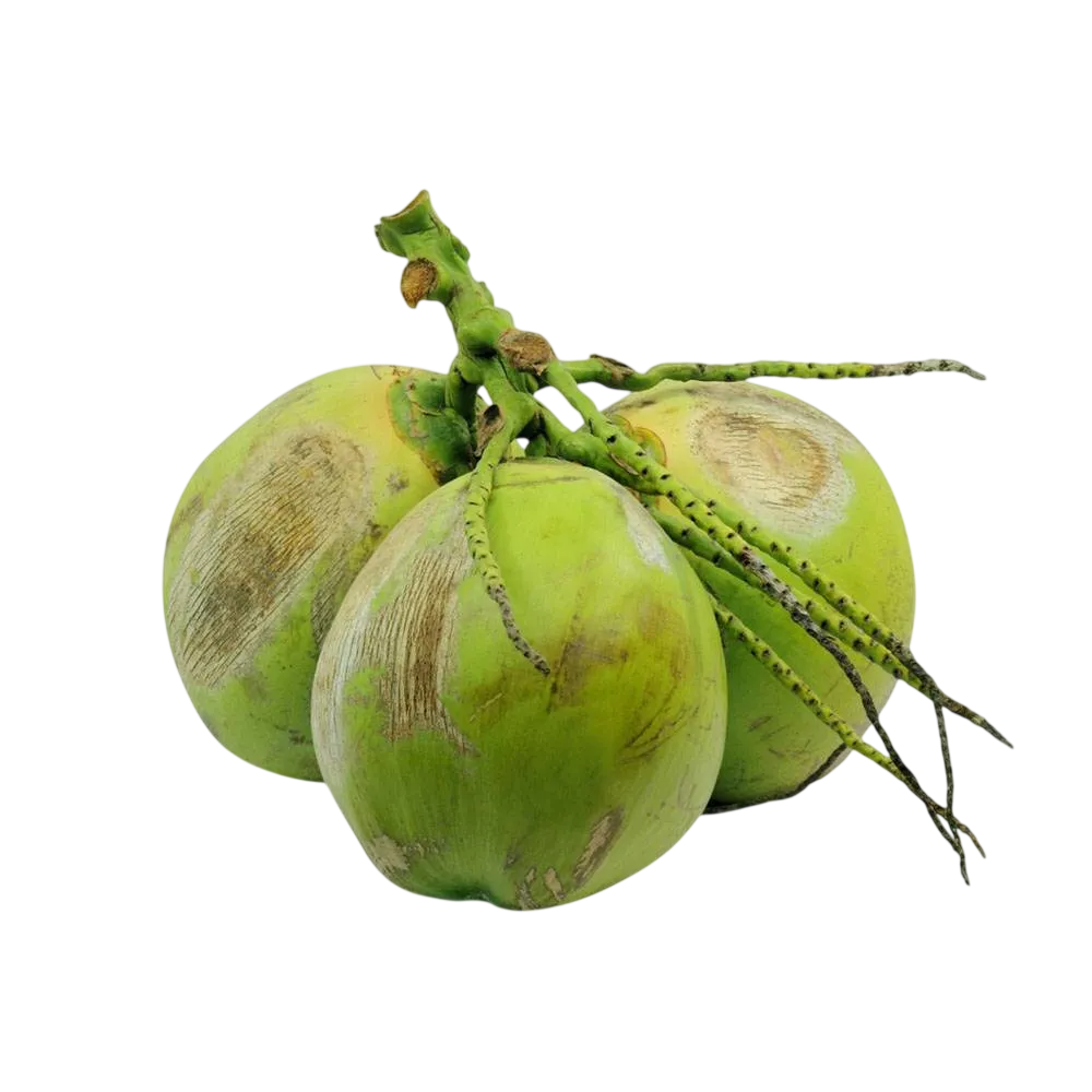 COCO VERDE UND